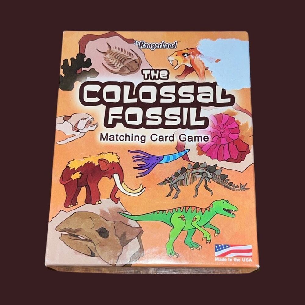 The Colossal Fossil Matching Card Game - Picture 2 of 5